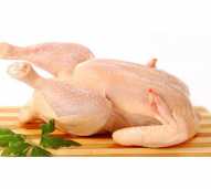 Daging Ayam Kampung Utuh