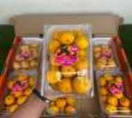 Jeruk Santhang Birma Pack