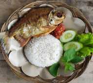 Nasi Ikan