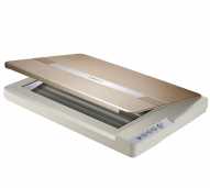 Scanner Flatbed