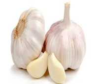 Bawang Putih