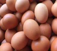 Telur Ayam Ras 1kg