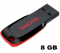 FLASHDISK 8GB