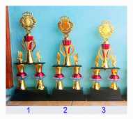 Piala Satu Set  Kategori B