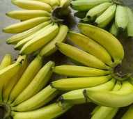 Pisang Ambon