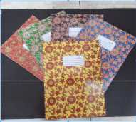 PAPERLINE BUKU FOLIO ISI 100 